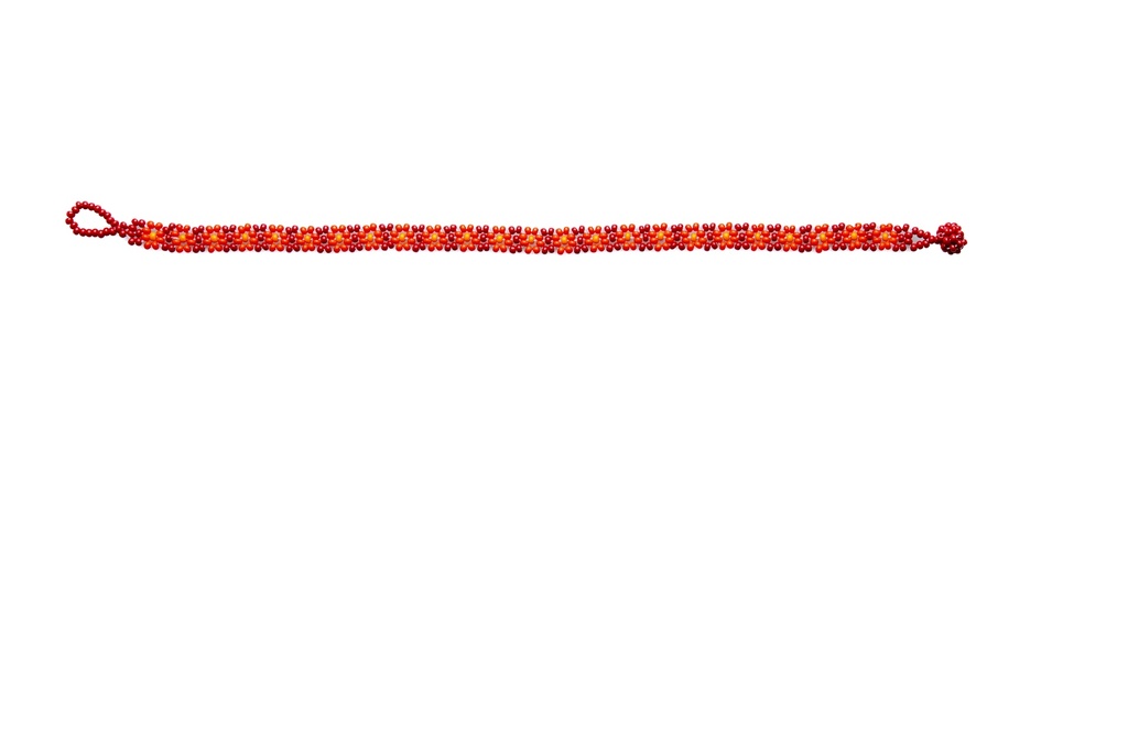 MET09-017B.JPG