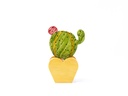 ADORNO DE MADERA CACTUS