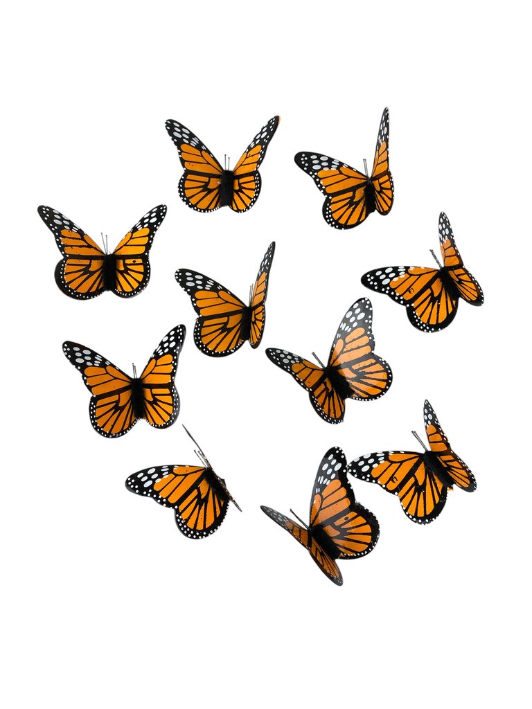 JUEGO DE MARIPOSAS MONARCA